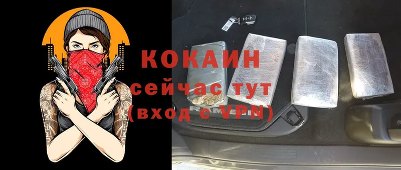 как найти   Камбарка  COCAIN Эквадор 